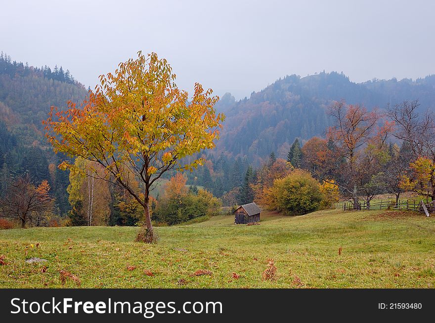Autumn landscape in mountains. Ukraine, Carpathians