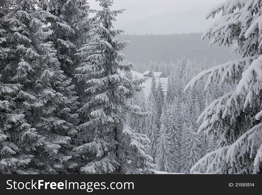 Winter landscape in mountains. Carpathians Ukraine