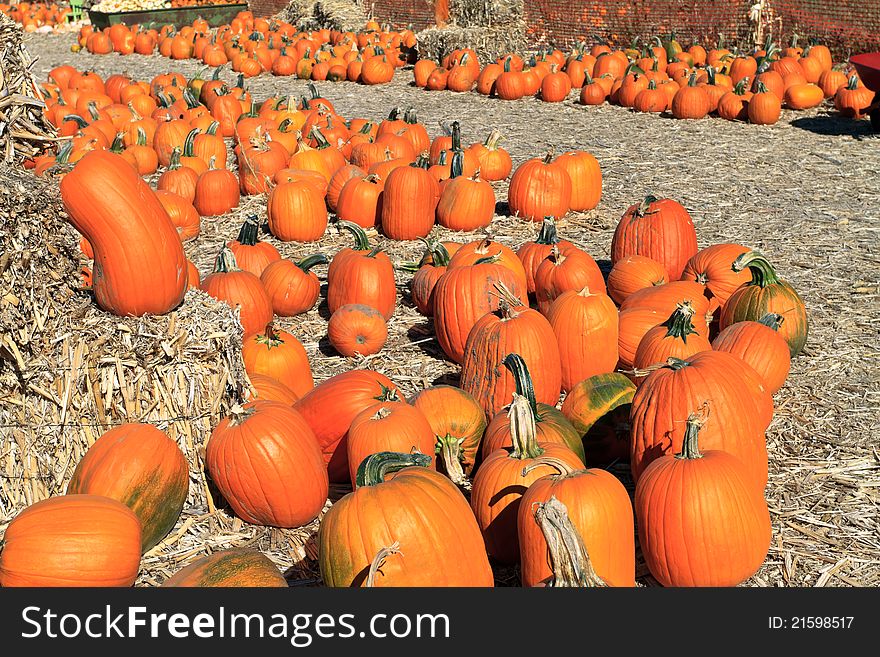 Pumpkin arrangement on hay for sale