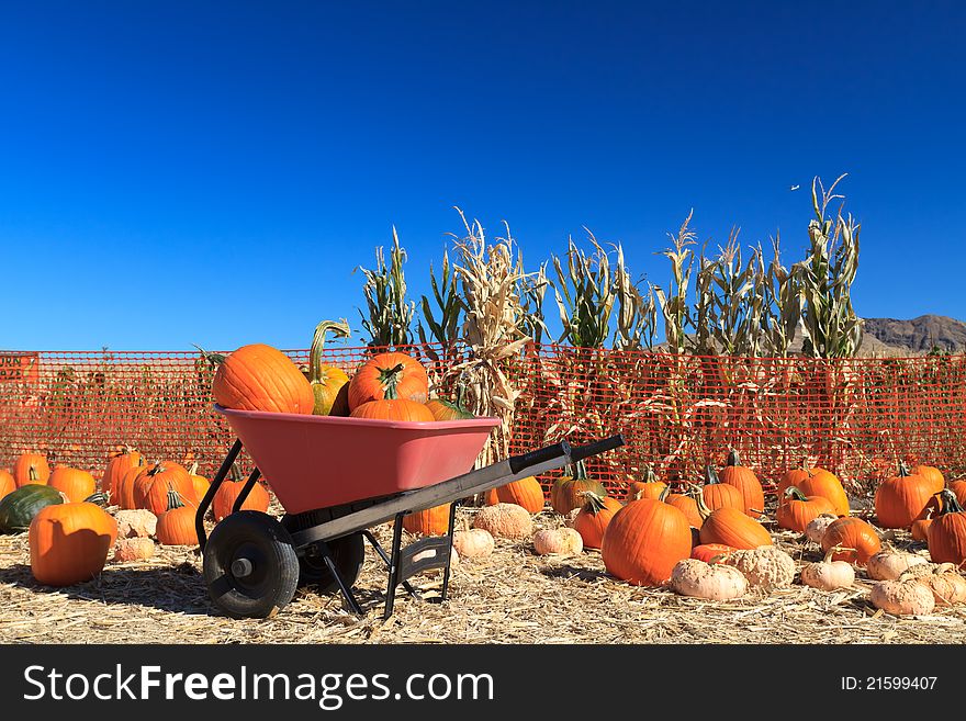 Many pumpkins on hay for sale. Many pumpkins on hay for sale