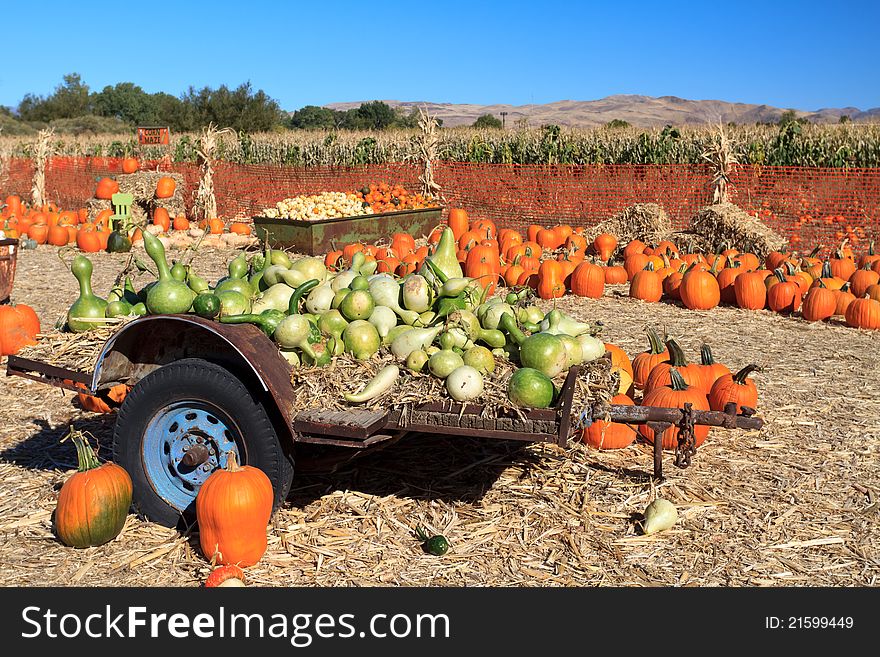 Pumpkin arrangement on hay for sale