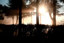 Sun Ray In A Foggy Day Royalty Free Stock Image Sun Ray In A Foggy Day Royalty Free Stock Image