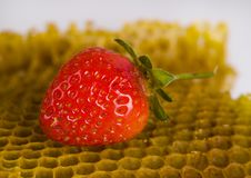 Honey Comb Stock Image Honey Comb Stock Image