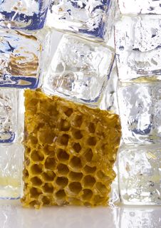 Cold Honey Comb Royalty Free Stock Photos