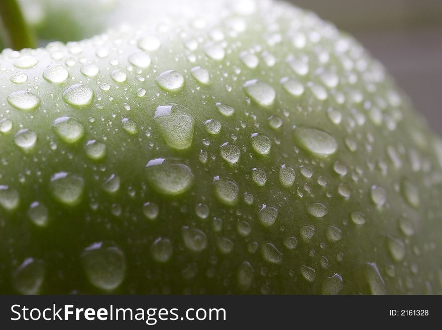 Wet green apple with stem macro