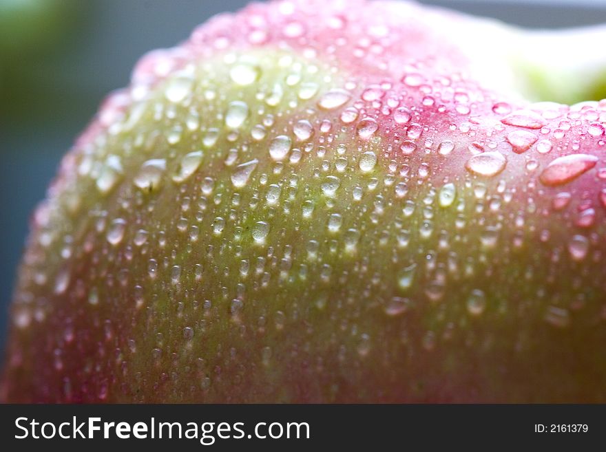 Wet pink apple with multy drops macro