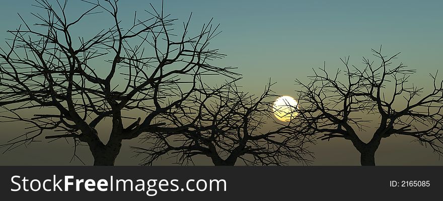 Naked tree silhouettes  at sunset - 3d scene. Naked tree silhouettes  at sunset - 3d scene.
