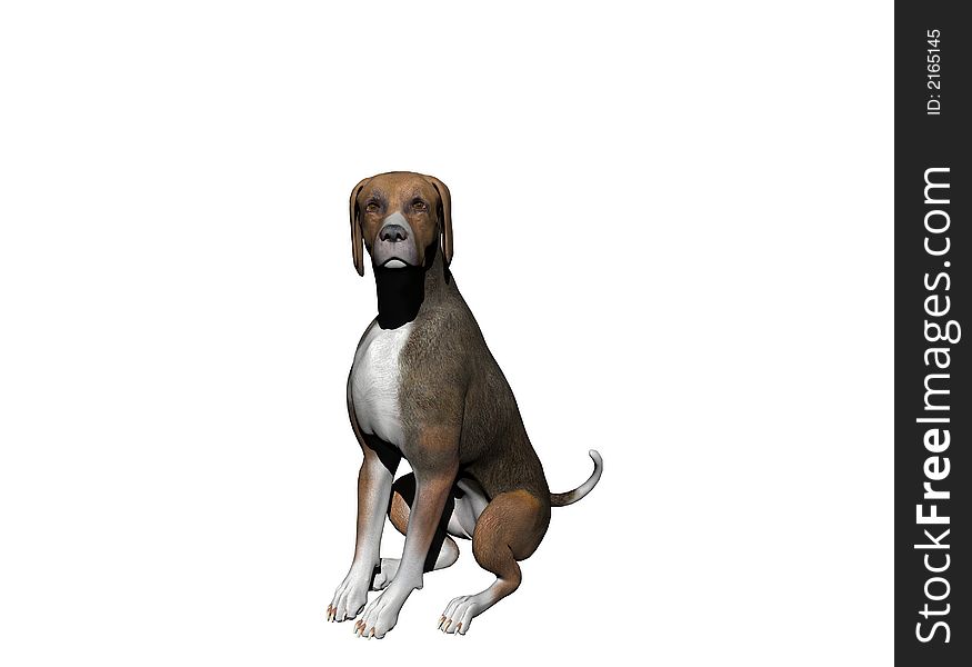 An alert female hound watches intently. Computer Generated Image, 3D Models. An alert female hound watches intently. Computer Generated Image, 3D Models