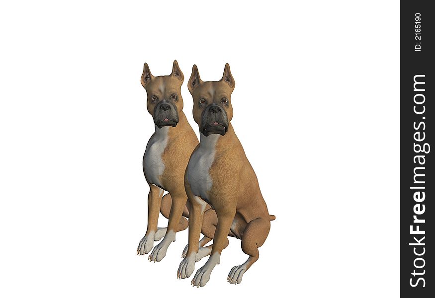 An pair of alert boxers watch intently. Computer Generated Image, 3D Models. An pair of alert boxers watch intently. Computer Generated Image, 3D Models