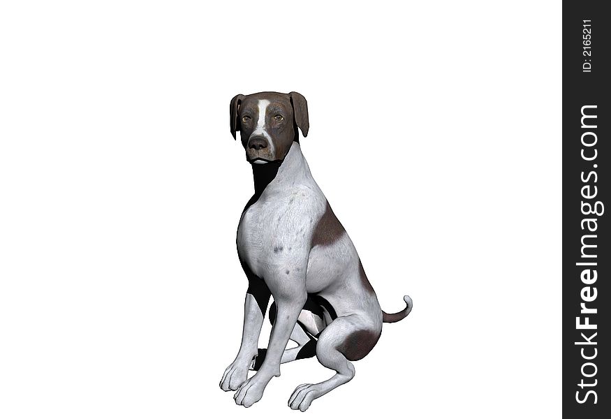 An alert German Shorthair Shepherd sits and watches.  Computer Generated Image, 3D Models