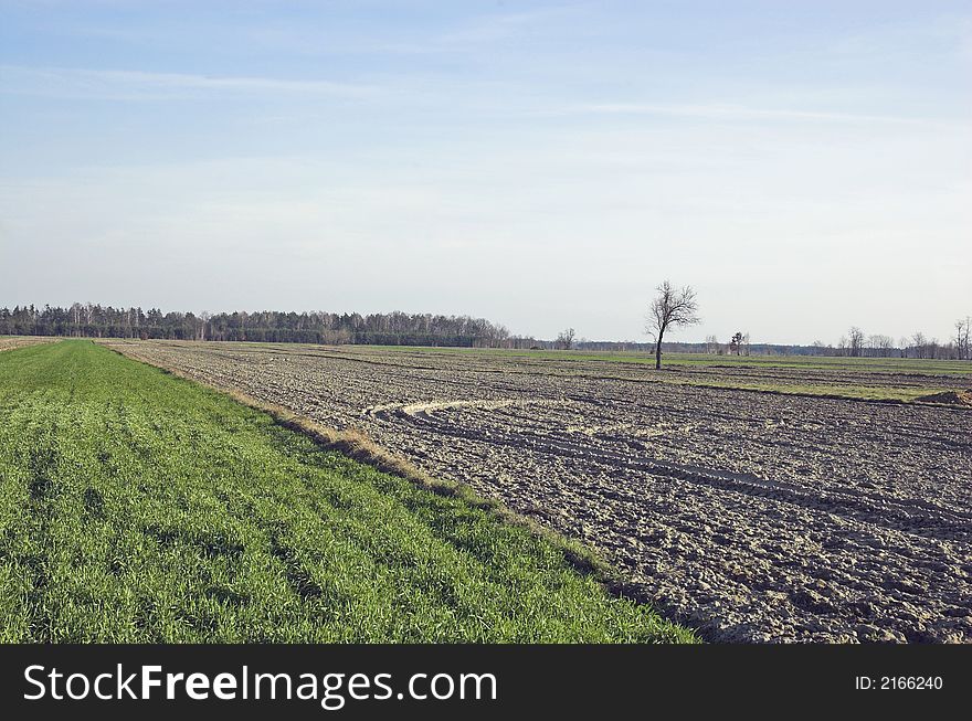 Polish landscape near the Polish great city-Warsaw