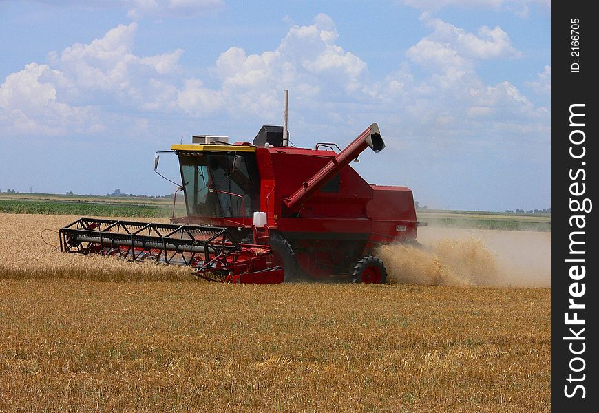 Harvester at work in a wheat field in Argentina