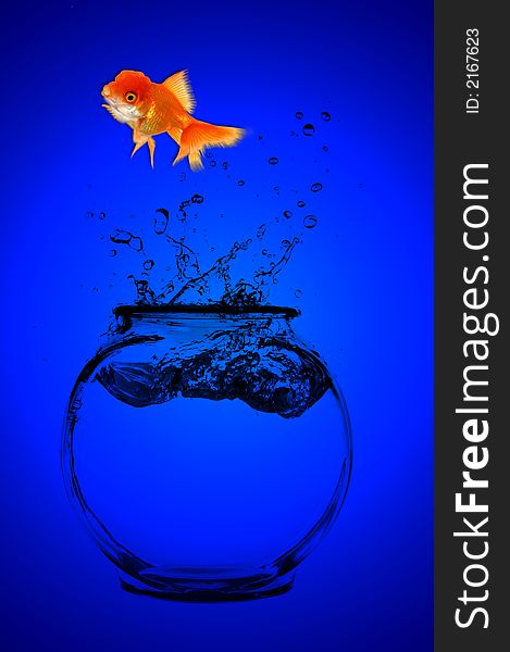 Jumping Goldfish on a Blue Background. Jumping Goldfish on a Blue Background