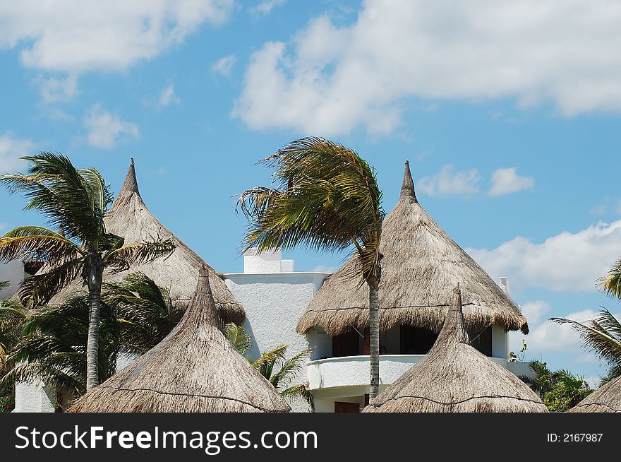 Beautiful Carribbean houses, palm trees. Beautiful Carribbean houses, palm trees
