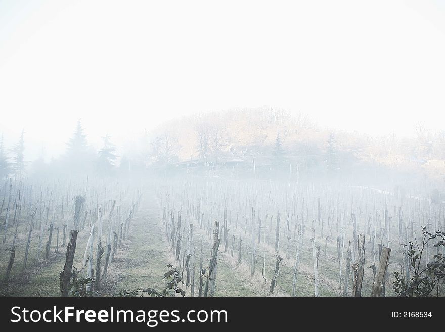 Italian country landscaper through the fog. Italian country landscaper through the fog
