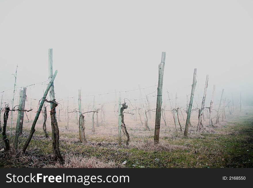 Italian country landscaper in a strang stormy-fog day. Italian country landscaper in a strang stormy-fog day