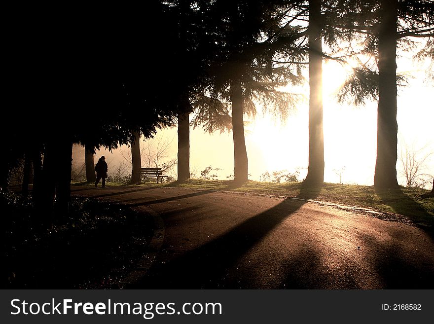 Italian country landscaper through the fog. Italian country landscaper through the fog