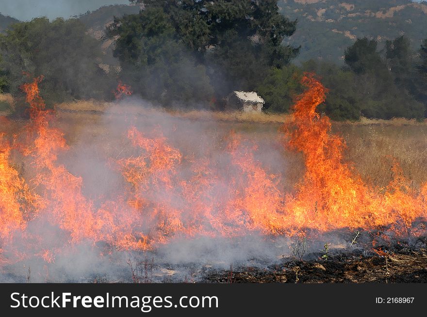 Flames in dry grass field near a building. Flames in dry grass field near a building