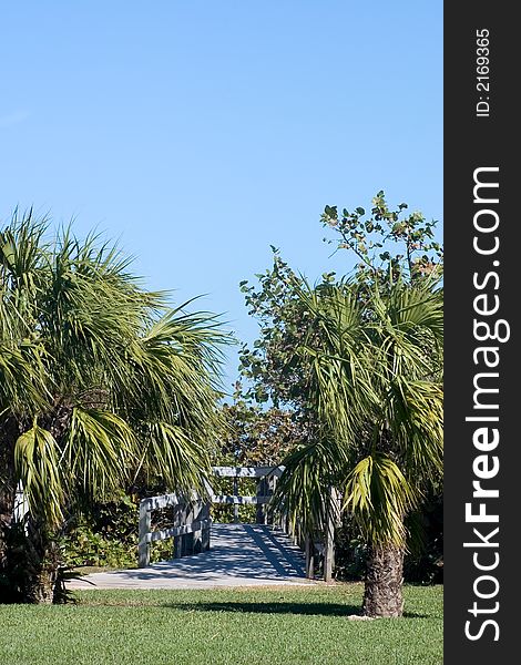 Palm tree lined walkway in Florida Park leading to beach access on Atlantic Ocean. Palm tree lined walkway in Florida Park leading to beach access on Atlantic Ocean