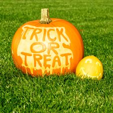 Halloween Pumpkin Stock Image
