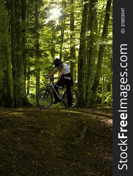 Mountain Biker resting in the forest