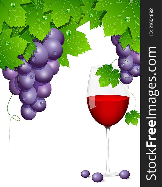 Vector background with blue grapes