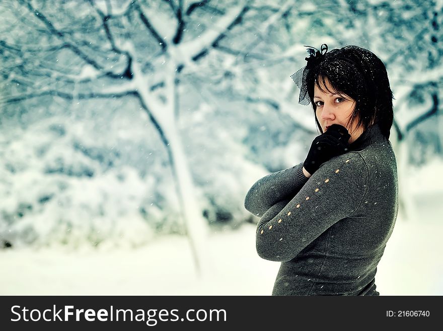 The Woman And Snow