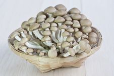 Fresh Mushrooms Royalty Free Stock Image Fresh Mushrooms Royalty Free Stock Image