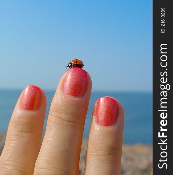 Ladybird on her finger with manicure in sunny day. Ladybird on her finger with manicure in sunny day