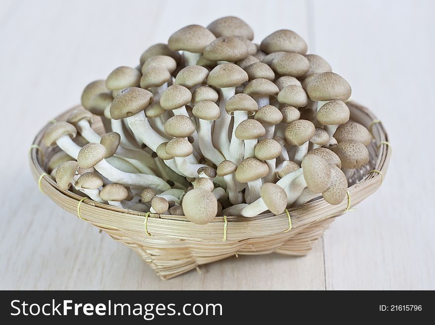 Fresh mushrooms on a wooden board