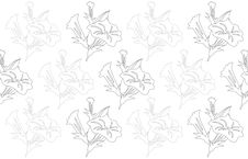 Petunia Stock Photo Petunia Stock Photo