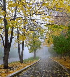 Fog In Autumn Park Royalty Free Stock Image Fog In Autumn Park Royalty Free Stock Image