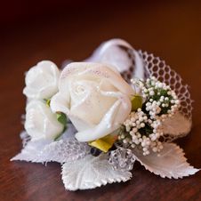Satin Wedding Rose Stock Photos Satin Wedding Rose Stock Photos