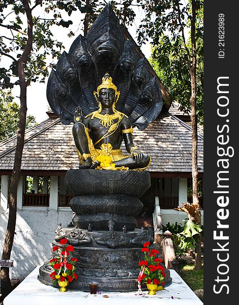 Shiva Meditation Camp Black in thailand. Shiva Meditation Camp Black in thailand