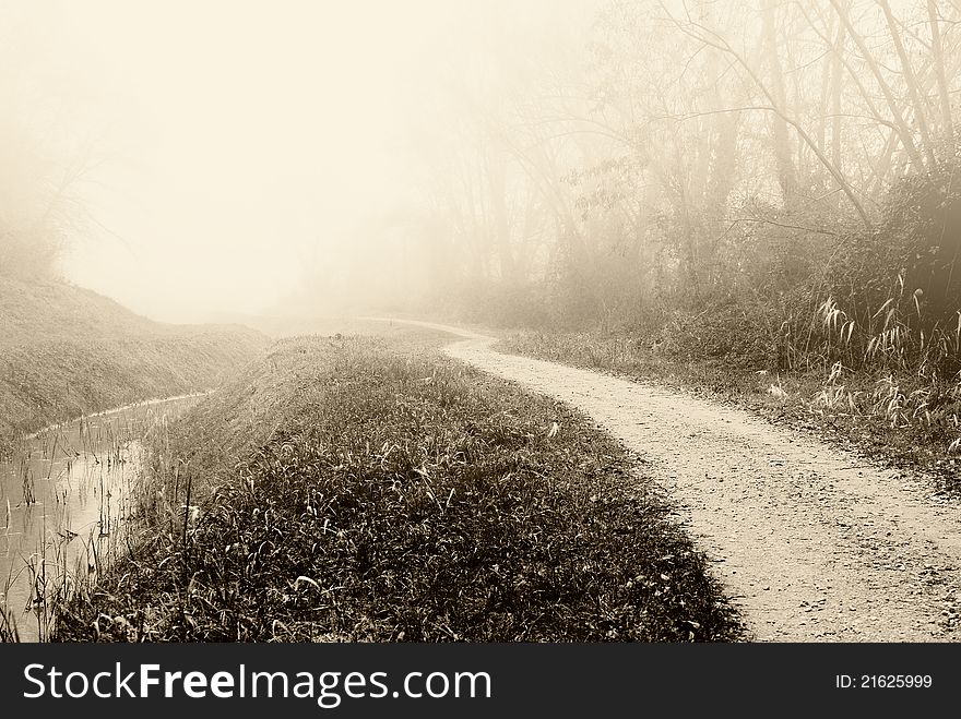 Country Road Near The Canal