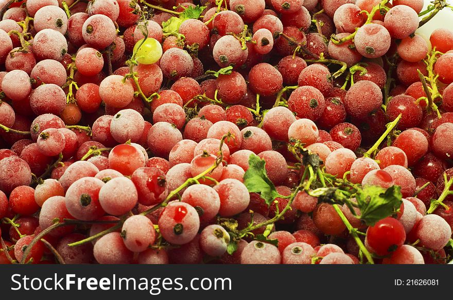 Red cranberries in a background texture