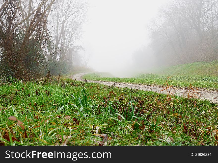 Morning dew in the park with fog