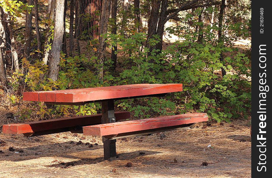 Photo of campground picnic table in a national forest.