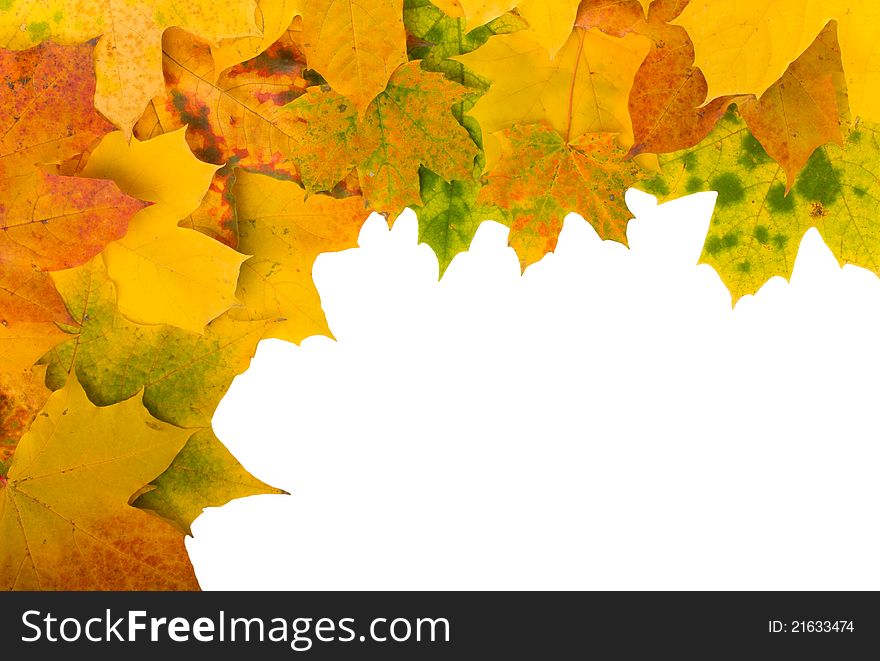 Angular frame of autumn maple leaves on white background. Angular frame of autumn maple leaves on white background