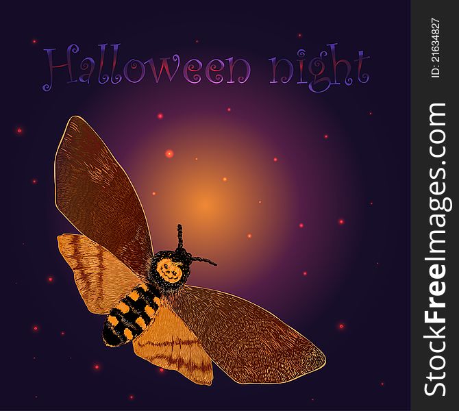 Halloween night butterfly with the pumpkin on the back. Halloween night butterfly with the pumpkin on the back