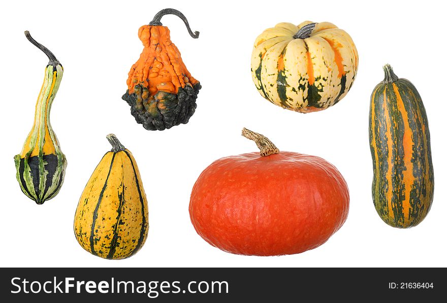 Various squash isolated on a white background. Various squash isolated on a white background
