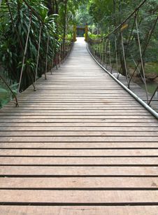 Rope Walkway Through The Treetops Stock Photography Rope Walkway Through The Treetops Stock Photography