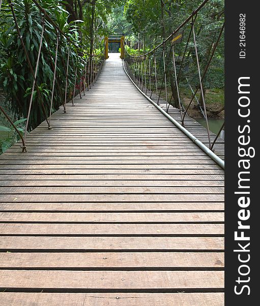 Rope walkway through the treetops in a rain forest