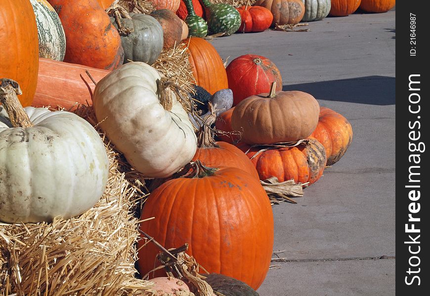 Colorful pumpkins and gourds and squash from an outdoor vegetable market in Brookfield, WI, USA. Photo taken October 17, 2011. Colorful pumpkins and gourds and squash from an outdoor vegetable market in Brookfield, WI, USA. Photo taken October 17, 2011.