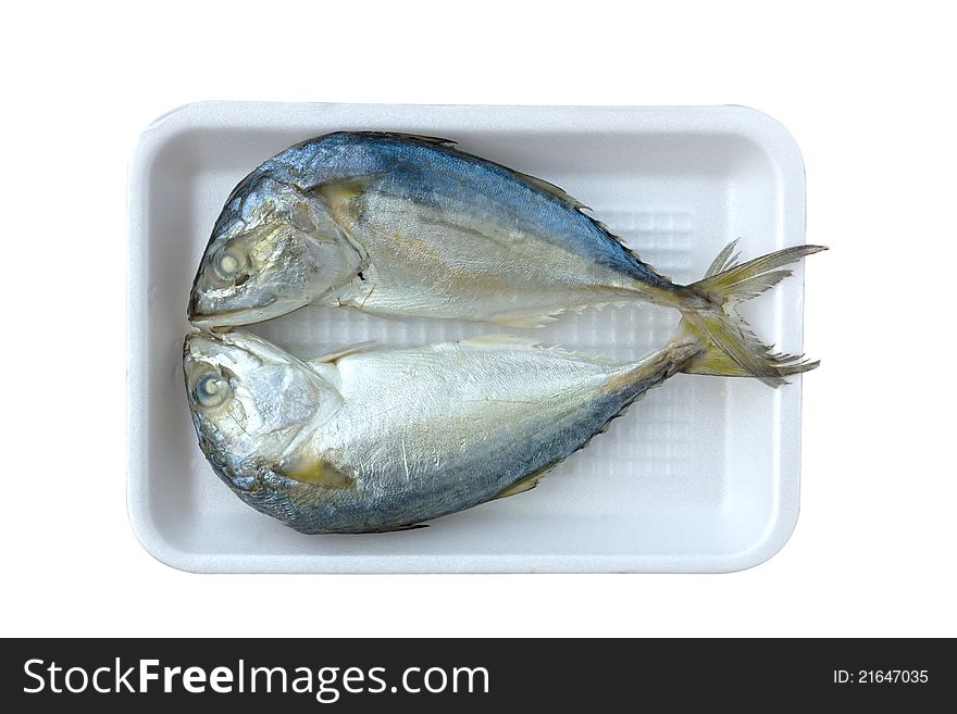 Two mackerel on white plate close up