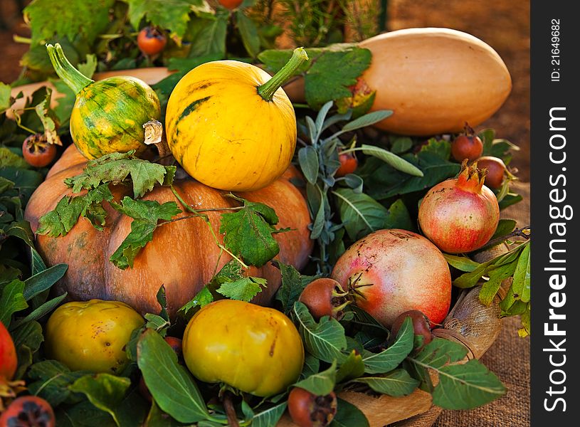 Harvested pumpkins, pomegranates and aromatic herbs. Harvested pumpkins, pomegranates and aromatic herbs.
