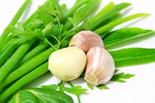 Garlic Cloves Stock Images