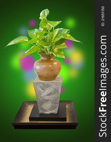 Plant With Clipping Path