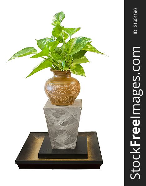 Plant with clipping path