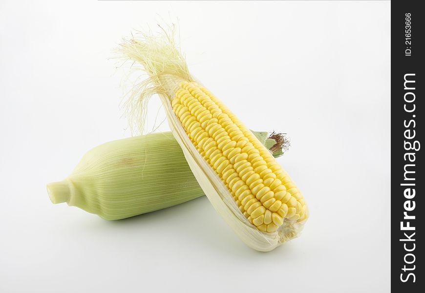 Fresh corn on white background